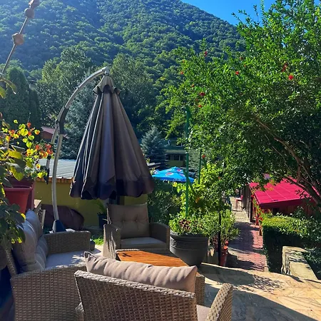 Pensiunea El Plazza Gasthuis Băile Herculane