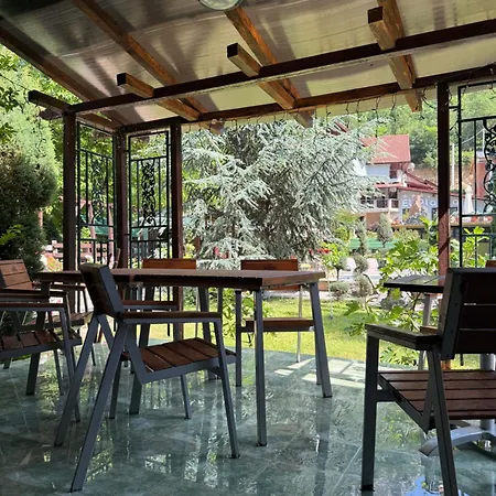 Gasthuis Pensiunea El Plazza 4*